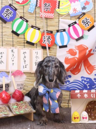 20240714おとくん